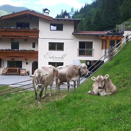 Apartment Appartments Enterwald *