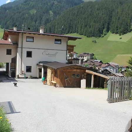 Apartment Appartments Enterwald *